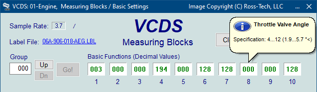 screenshot of the VCDS measuring blocks 000 screen